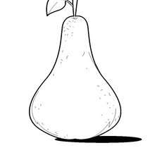 Pear coloring page - Coloring page - NATURE coloring pages - FRUIT coloring pages - PEAR coloring pages