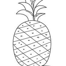 Pineapple coloring page - Coloring page - NATURE coloring pages - FRUIT coloring pages - PINEAPPLE coloring pages