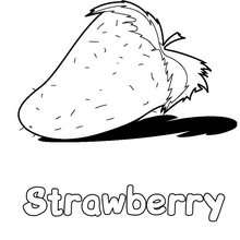 Strawberry to write and color - Coloring page - NATURE coloring pages - FRUIT coloring pages - STRAWBERRY coloring book