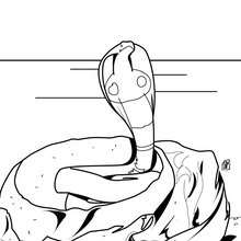 Cobra snake coloring page - Coloring page - ANIMAL coloring pages - REPTILE coloring pages - SNAKE coloring pages - COBRA coloring pages