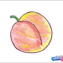How to draw an Apricot - Drawing for kids - HOW TO DRAW lessons - How to draw FRUITS