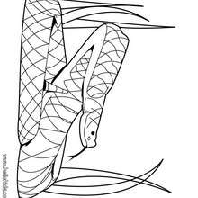 Rattle-snake coloring page - Coloring page - ANIMAL coloring pages - REPTILE coloring pages - SNAKE coloring pages - RATTLE-SNAKE coloring pages