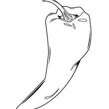 Chilli to color - Coloring page - NATURE coloring pages - VEGETABLE coloring pages - CHILLI coloring pages