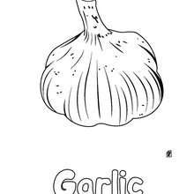 Garlic coloring sheet - Coloring page - NATURE coloring pages - VEGETABLE coloring pages - GARLIC coloring pages