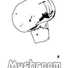 Mushroom coloring sheet - Coloring page - NATURE coloring pages - VEGETABLE coloring pages - MUSHROOM coloring pages