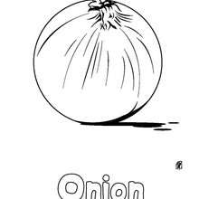 Onion coloring sheet - Coloring page - NATURE coloring pages - VEGETABLE coloring pages - ONION coloring pages