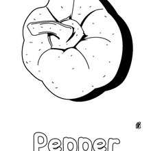 Pepper coloring page - Coloring page - NATURE coloring pages - VEGETABLE coloring pages - PEPPER coloring pages