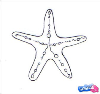 How to draw sea star - Hellokids.com