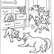 Dog playtime coloring page - Coloring page - MOVIE coloring pages - HOTEL for DOGS coloring pages