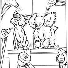 Dog salon coloring page