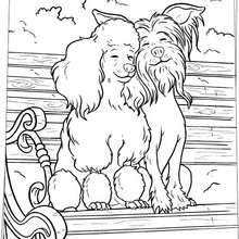 Dogs in love coloring page - Coloring page - MOVIE coloring pages - HOTEL for DOGS coloring pages
