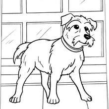 Friday coloring page - Coloring page - MOVIE coloring pages - HOTEL for DOGS coloring pages