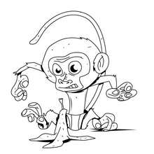 Baby monkey coloring page - Coloring page - ANIMAL coloring pages - WILD ANIMAL coloring pages - JUNGLE ANIMALS coloring pages - MONKEY coloring pages