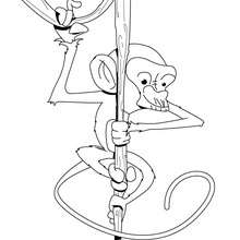 Climbing monkey coloring page - Coloring page - ANIMAL coloring pages - WILD ANIMAL coloring pages - JUNGLE ANIMALS coloring pages - MONKEY coloring pages