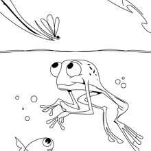 Swimming frog coloring page