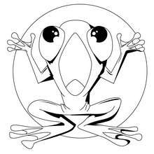 Frog on the moon coloring page