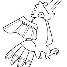 Carpenter bird coloring page - Coloring page - ANIMAL coloring pages - BIRD coloring pages - PREHISPANIC BIRD coloring pages