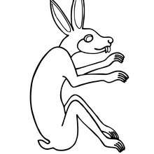 Hare coloring page - Coloring page - ANIMAL coloring pages - PREHISPANIC ANIMAL animal coloring pages