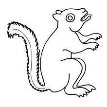 Squirrel coloring page - Coloring page - ANIMAL coloring pages - PREHISPANIC ANIMAL animal coloring pages