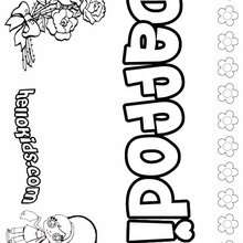 Daffodil - Coloring page - NAME coloring pages - GIRLS NAME coloring pages - D names for GIRLS free coloring sheets