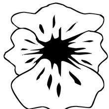 Poppy petals coloring page - Coloring page - NATURE coloring pages - FLOWER coloring pages - POPPY coloring pages