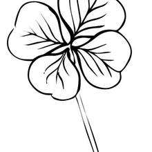 Clover coloring page - Coloring page - HOLIDAY coloring pages - ST. PATRICK'S DAY coloring pages