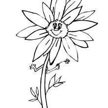 Sunflower coloring page - Coloring page - NATURE coloring pages - FLOWER coloring pages - SUNFLOWER coloring pages