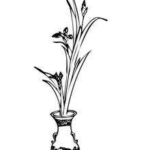 Vase with flowers coloring page - Coloring page - NATURE coloring pages - FLOWER coloring pages - FLOWERS coloring pages