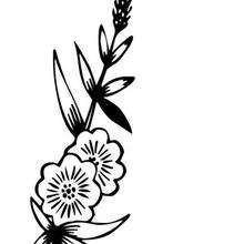 Wild flower coloring page - Coloring page - NATURE coloring pages - FLOWER coloring pages - FLOWERS coloring pages