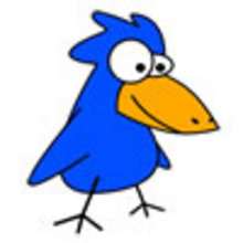 Bird jokes - Reading online - JOKES and RIDDLES for kids - ANIMAL jokes for kids