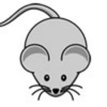 Mouse jokes - Reading online - JOKES and RIDDLES for kids - ANIMAL jokes for kids