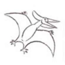 How to draw a Pteranodon