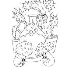 Enchanted plants coloring page
