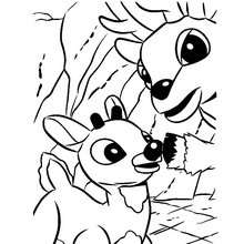 Rudolph and his dad Donner coloring page - Coloring page - HOLIDAY coloring pages - CHRISTMAS coloring pages - XMAS REINDEER coloring pages - RUDOLPH THE RED-NOSED REINDEER coloring pages