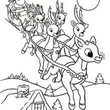 Rudolph and Santa Sleigh coloring page - Coloring page - HOLIDAY coloring pages - CHRISTMAS coloring pages - XMAS REINDEER coloring pages - RUDOLPH THE RED-NOSED REINDEER coloring pages