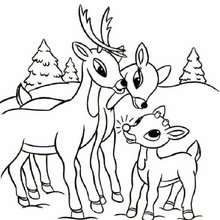 Rudolph family coloring page - Coloring page - HOLIDAY coloring pages - CHRISTMAS coloring pages - XMAS REINDEER coloring pages - RUDOLPH THE RED-NOSED REINDEER coloring pages