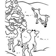 Rudolph friends coloring page - Coloring page - HOLIDAY coloring pages - CHRISTMAS coloring pages - XMAS REINDEER coloring pages - RUDOLPH THE RED-NOSED REINDEER coloring pages