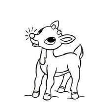 Rudolph the red-nosed reindeer coloring page - Coloring page - HOLIDAY coloring pages - CHRISTMAS coloring pages - XMAS REINDEER coloring pages - RUDOLPH THE RED-NOSED REINDEER coloring pages