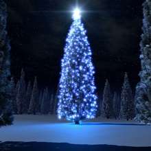 Christmas tree blue design