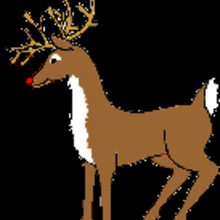 Reindeers animated gif - Drawing for kids - ANIMATED GIFS - CHRISTMAS animated Gifs - REINDEER animated gifs