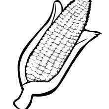 Corn coloring page - Coloring page - HOLIDAY coloring pages - KWANZAA coloring pages