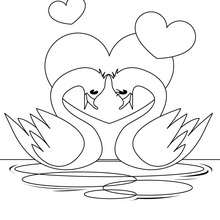 Swan in Love coloring page - Coloring page - HOLIDAY coloring pages - VALENTINE coloring pages - KISS coloring pages