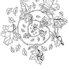 Fall elf mandala - Coloring page - MANDALA coloring pages - ELF mandalas