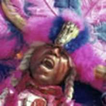 Who Are the Mardi Gras Indians? storybook for kids