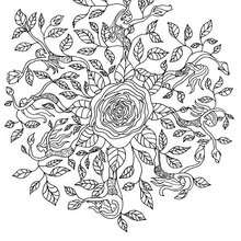 Rose elf mandala - Coloring page - MANDALA coloring pages - ELF mandalas