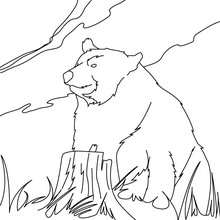 Kodiak bear coloring page