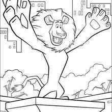 Alex the king coloring page