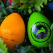 Easter Colored Eggs storybook for kids