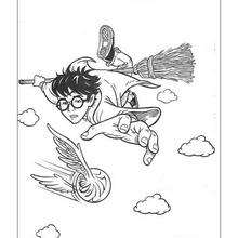 Flying Harry Potter coloring page