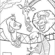 Marty's birthday coloring page - Coloring page - MOVIE coloring pages - MADAGASCAR coloring pages - MADAGASCAR printables